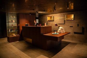 Accueil Spa, Hotel l'esquisse à Colmar 