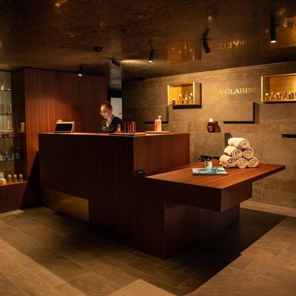 Accueil Spa, Hotel l'esquisse à Colmar 