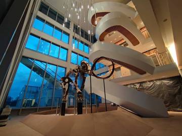 Escalier Soprema Strasbourg